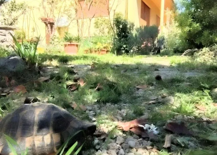 Adria * Sveti Filip i Jakov