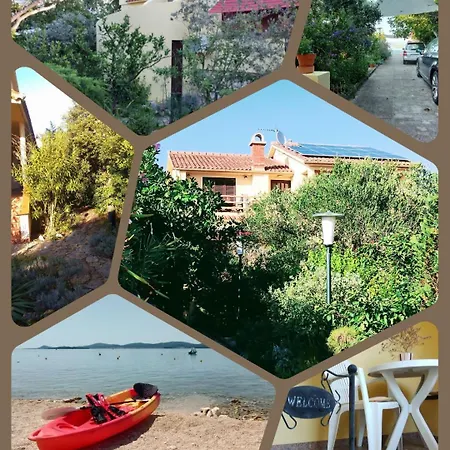 Apartment Adria