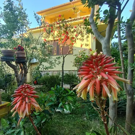 Apartment Adria Sveti Filip i Jakov