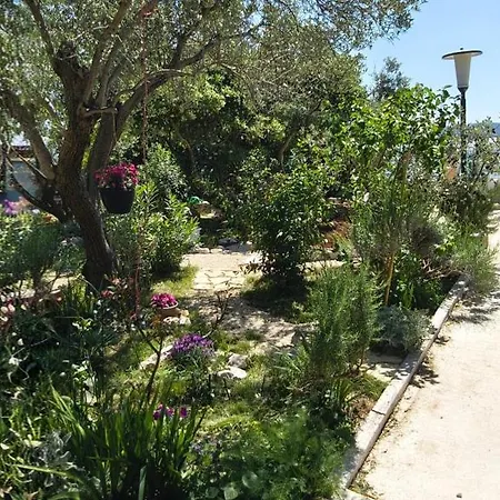 Apartman Adria